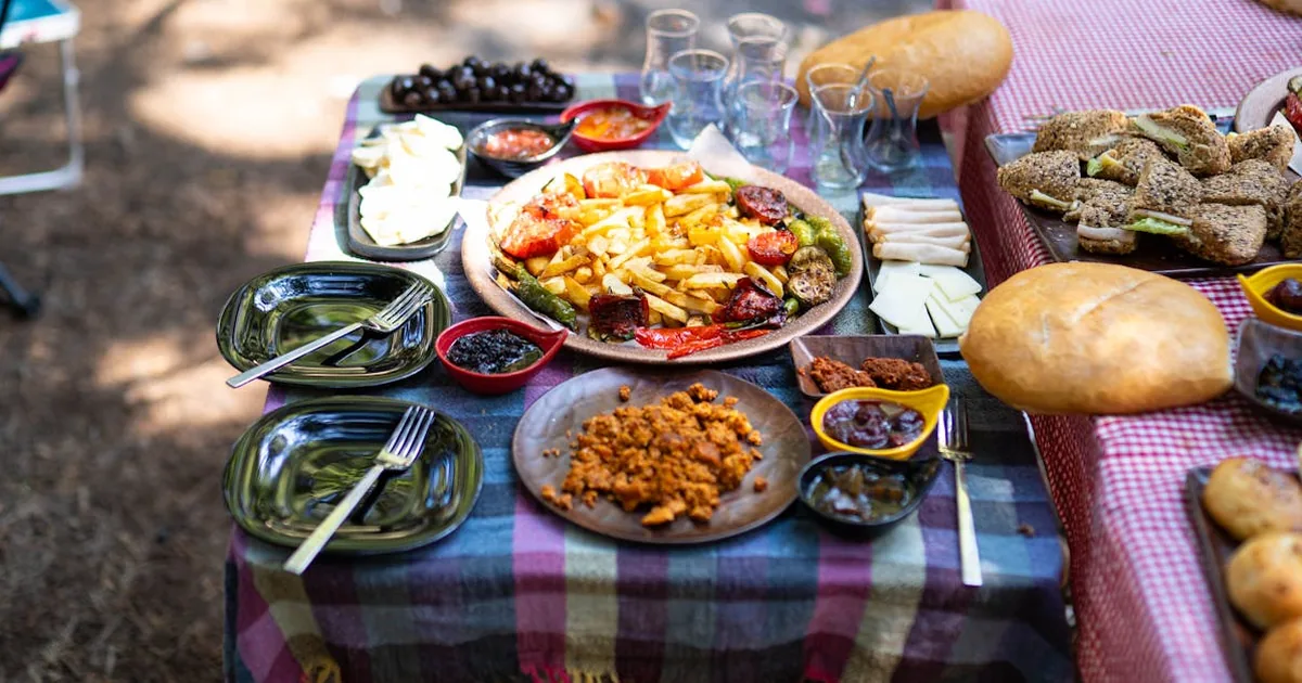 Nutrición para Gatos Mayores de 7 Años: Guía de Alimentación Senior