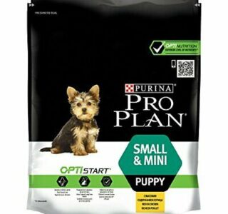 Comida para gatos ✅ Mejor Comida para Gatos Cachorros