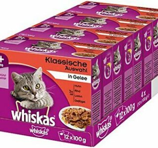 Comida para gatos ✅ la mejor comida para gatos