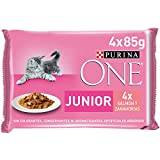 premio para gato junior al mejor precio en www.comecat.es