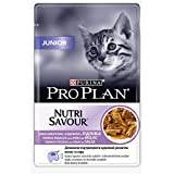 Comida exclusiva para gatos al mejor precio en www.comecat.es