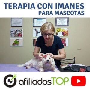 Biomagnetismo Para Mascotas