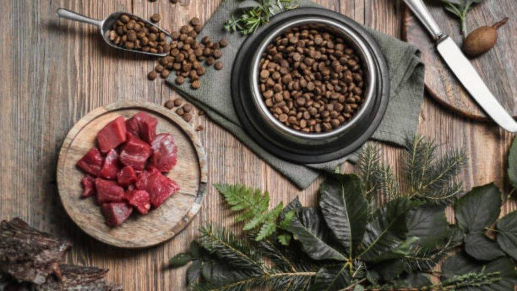 Pienso seco para gatos sin cereales, croquetas premium sobre superficie natural