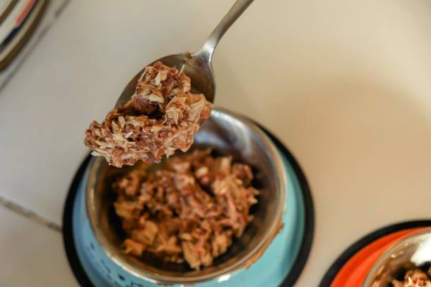 Ingredientes naturales de alta calidad para pienso seco premium